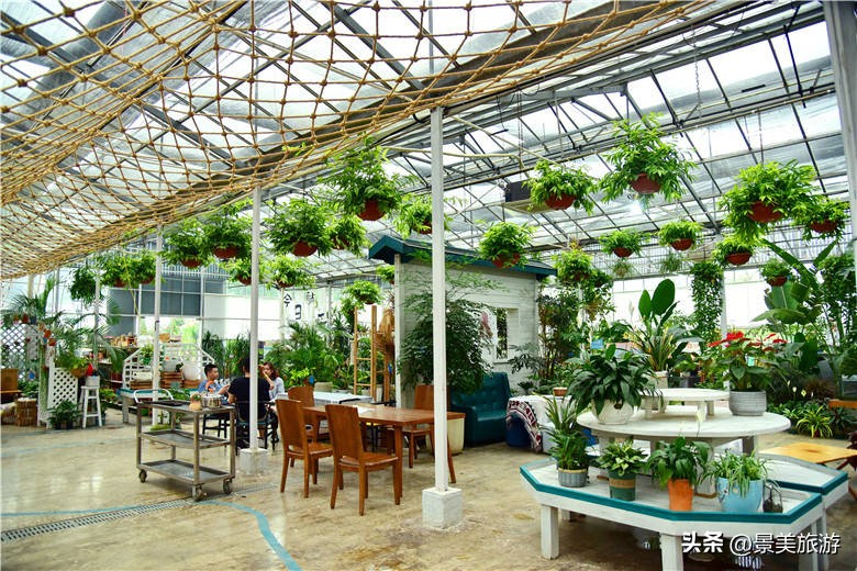 佛山旅游景点攻略,佛山森林公园游玩攻略