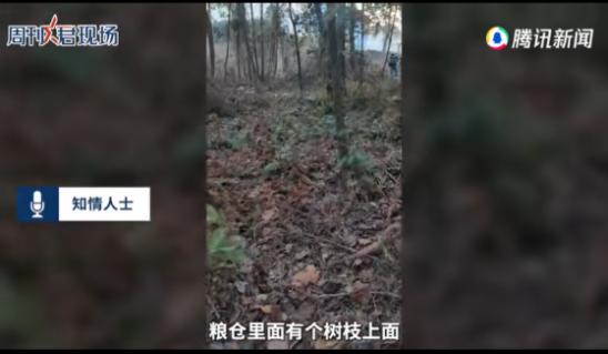 鑳￠懌瀹囧案浣撳嚑鏃舵壘鍒扮殑,鑳￠懌瀹囬仐浣撳埌搴曞湪鍝壘鍒扮殑