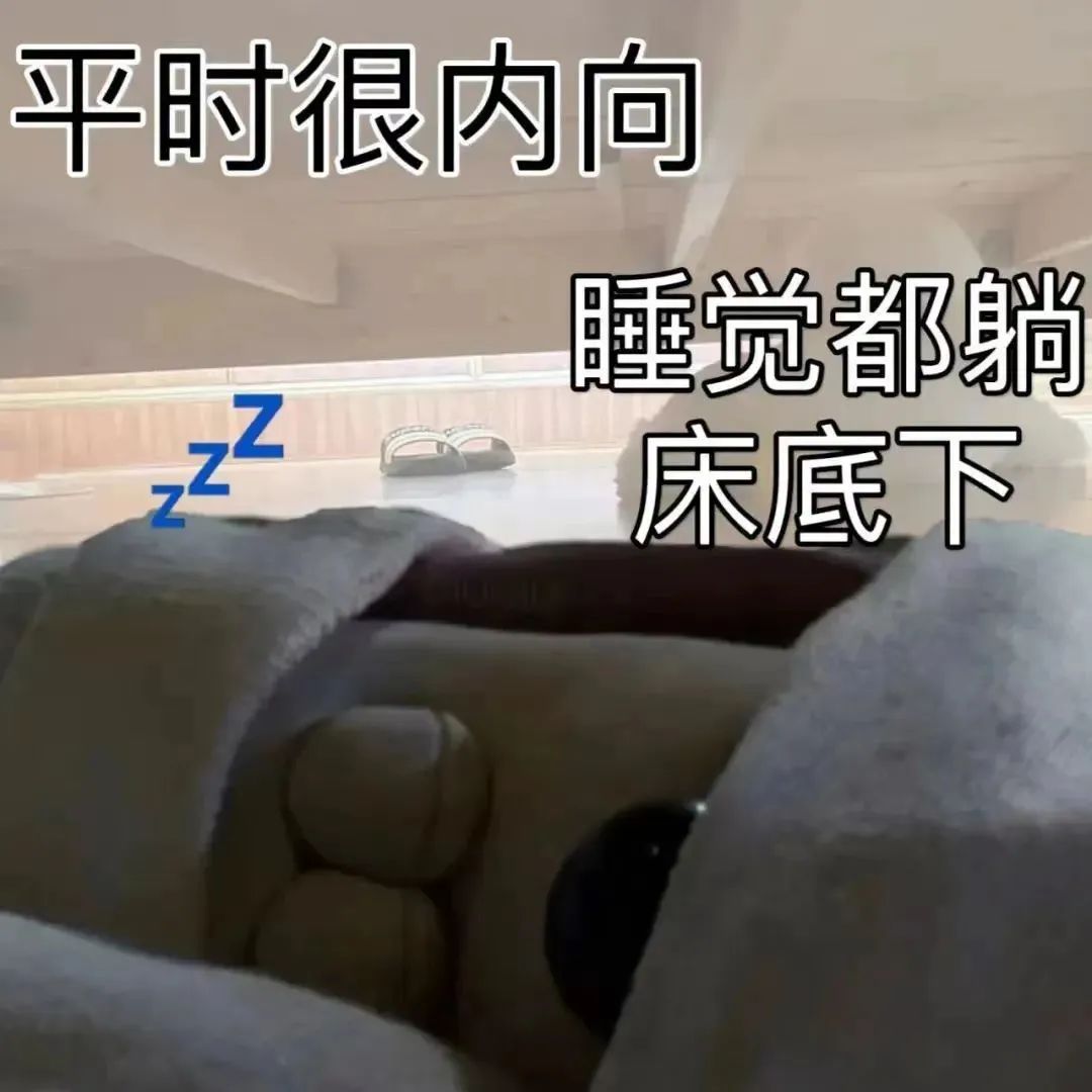 谁懂啊，一年级的小朋友想当“热狗侠”，我哭得鼻涕一把泪一把