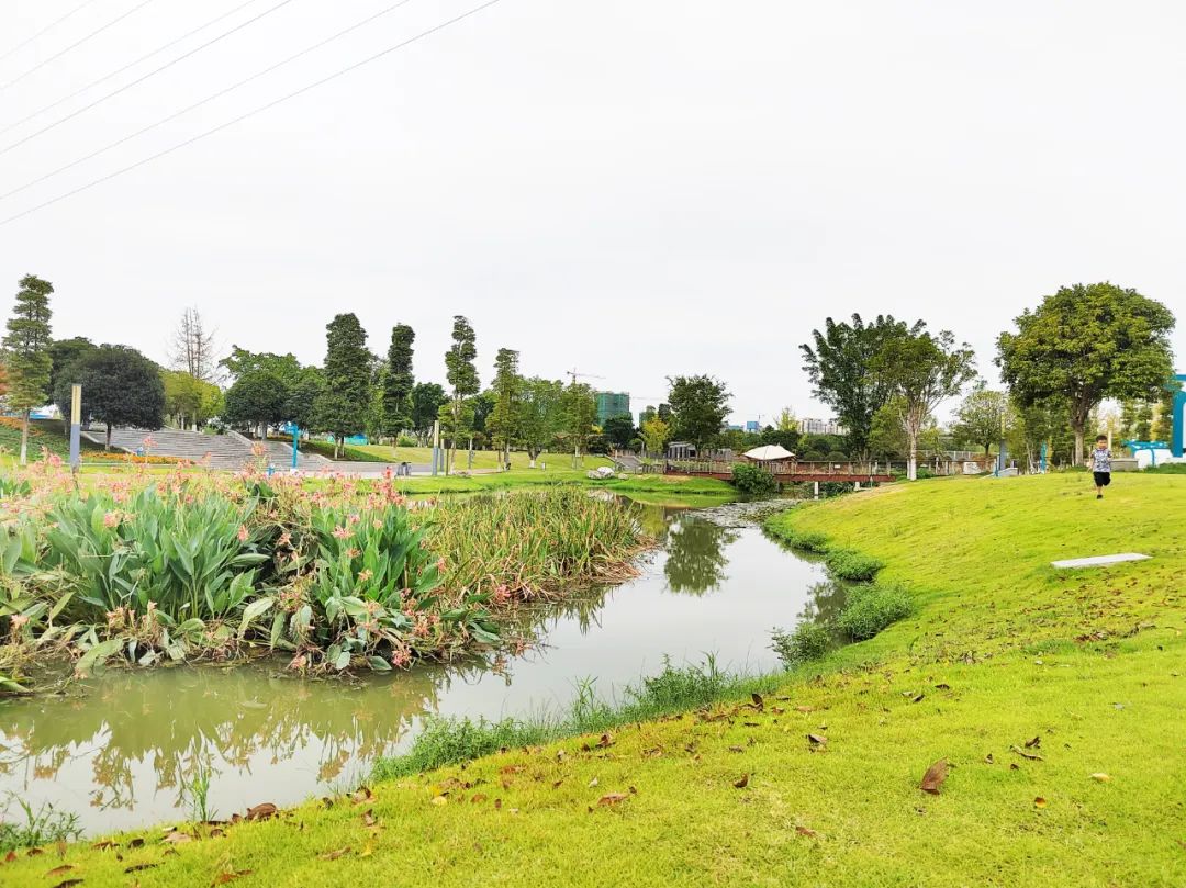 你不要不信！这么多人都在这花几十万，肯定是有道理的