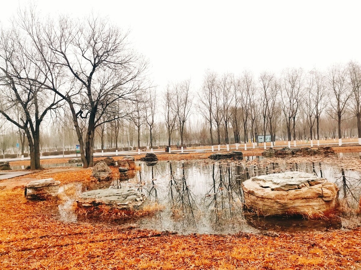 离离原上草一岁一枯荣的翻译,离离原上草一岁一枯荣诗句的意思