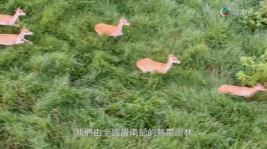 42岁的央视女星,42岁央视一姐现在怎么样了