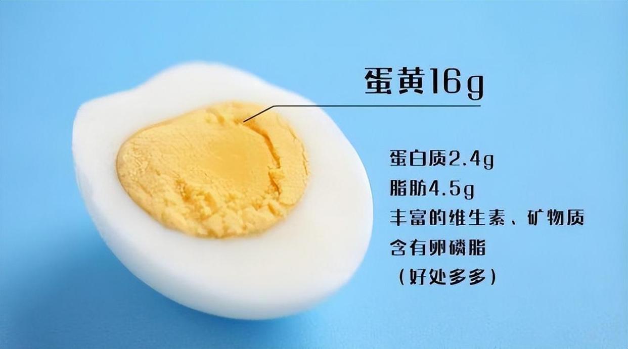 高蛋白饮食一定要喝蛋白粉吗,高蛋白饮食喝蛋白粉好吗