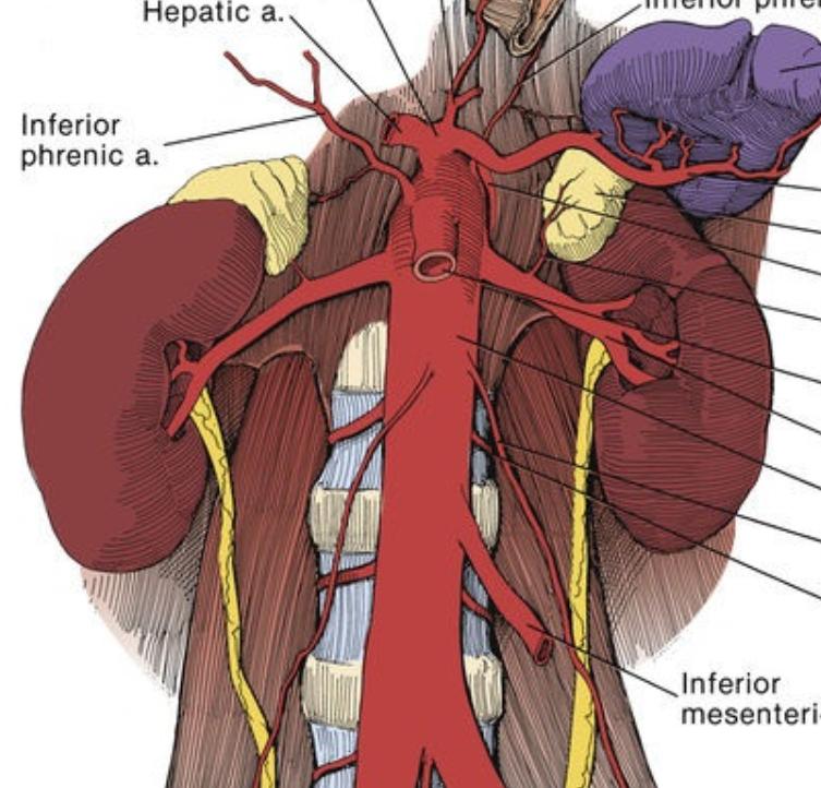 钝性闭合性肾损伤的诊治策略