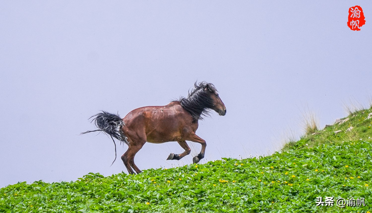 天山下的那拉提,陶渊明笔下世外桃源的美景
