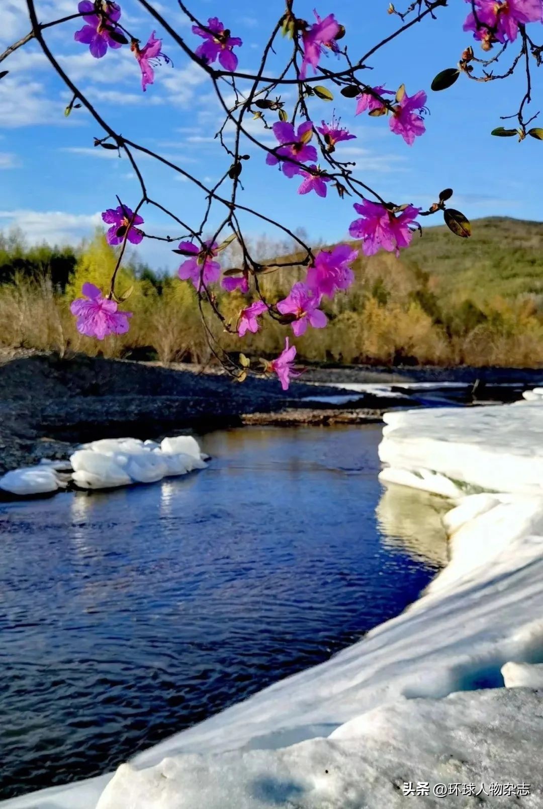 被质疑局长拍写真,她道出了真相