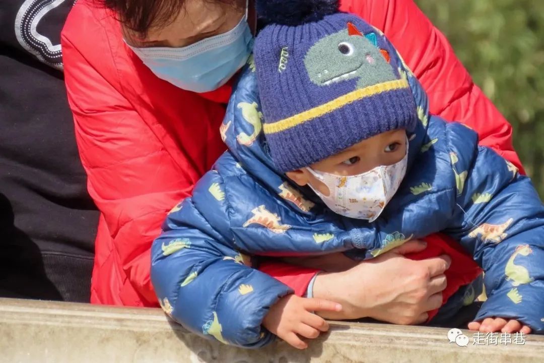 爷孙隔代亲的经典歌曲,爷孙隔代亲