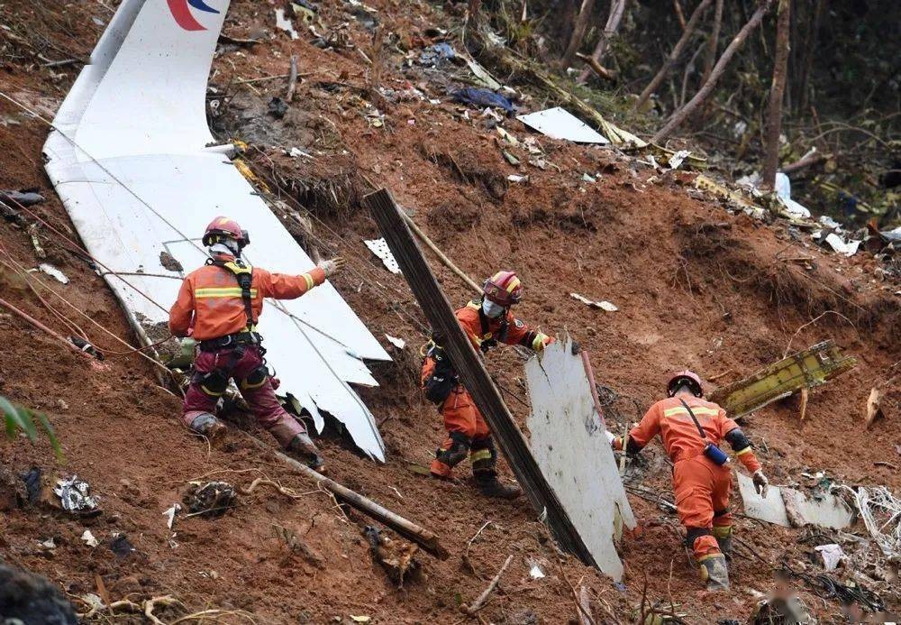 东航mu5735坠机事件最新,东航mu5735坠机事件还原