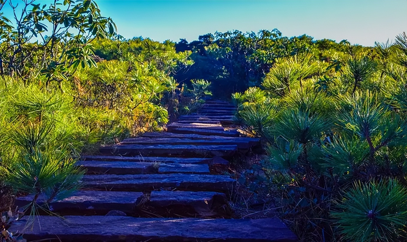 攀枝花领地阳光花城,攀枝花普达阳光康养胜地