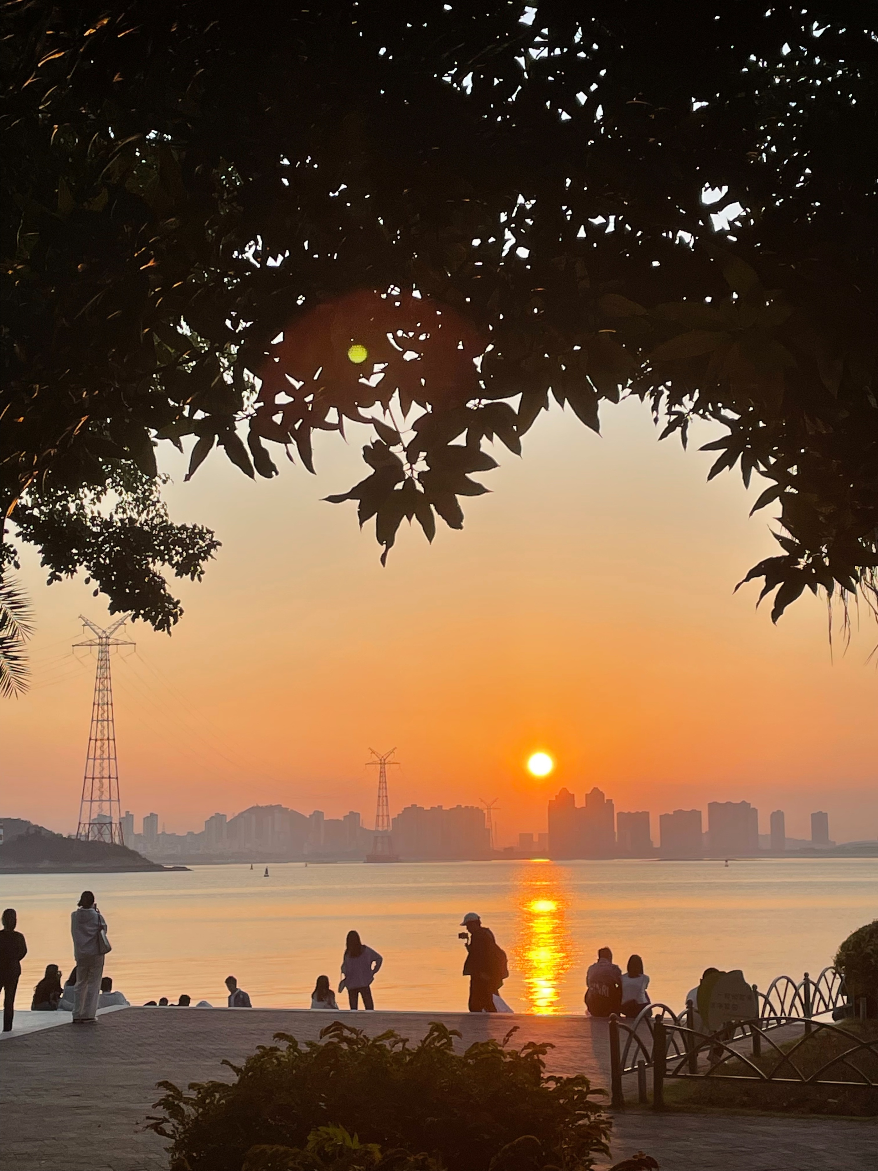 来厦门必打卡的六个景点,厦门十大必去景点园中园