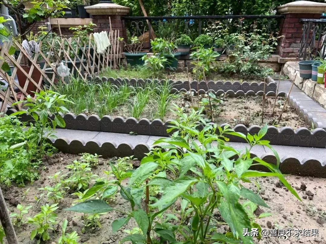 古朴的“农家小院”,总是备受人们喜爱