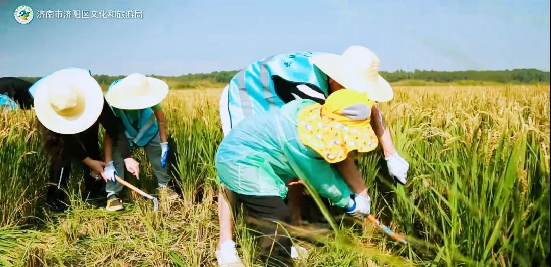 济南采摘园推荐最新,济南采摘园推荐秋季