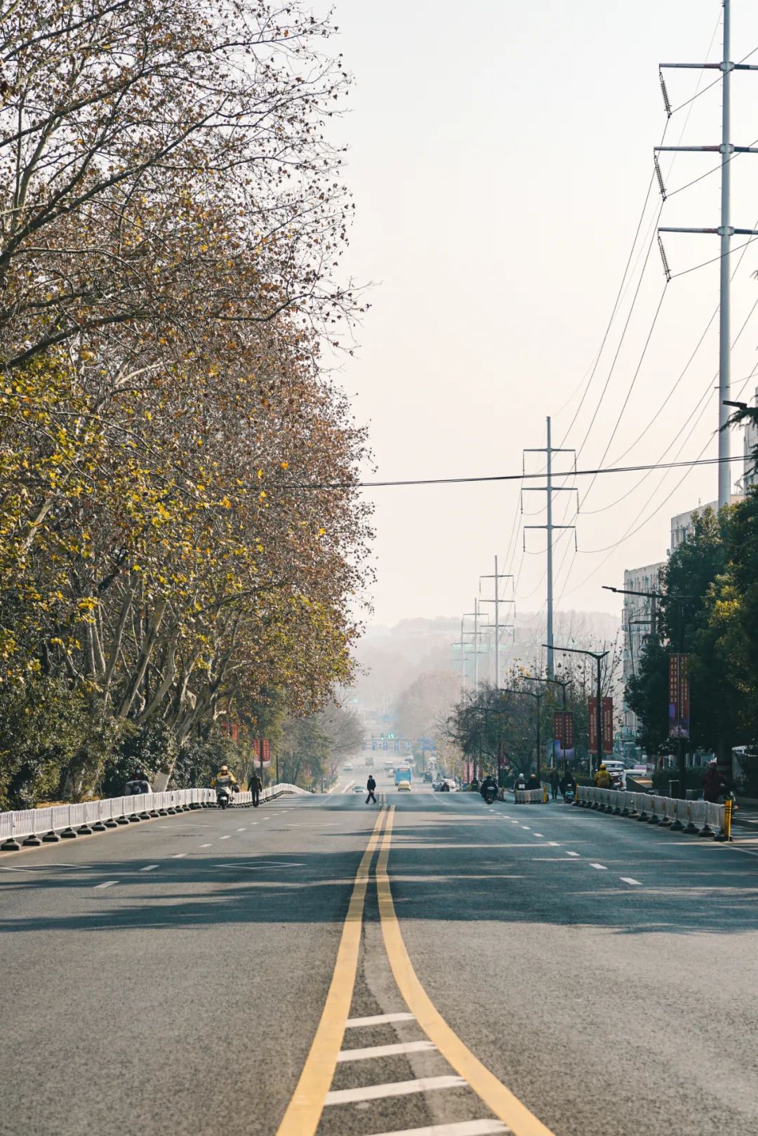 南京人的第一口奶---回到卫岗