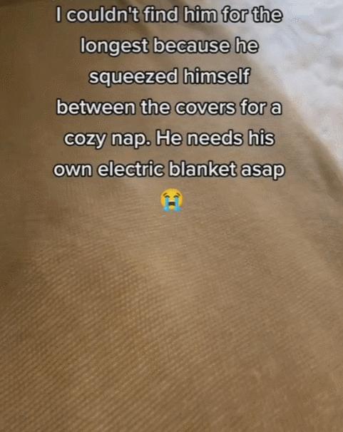 欧洲人买爆中国电热毯！工厂连夜加班，网友爆笑：狠赚一笔哈哈哈