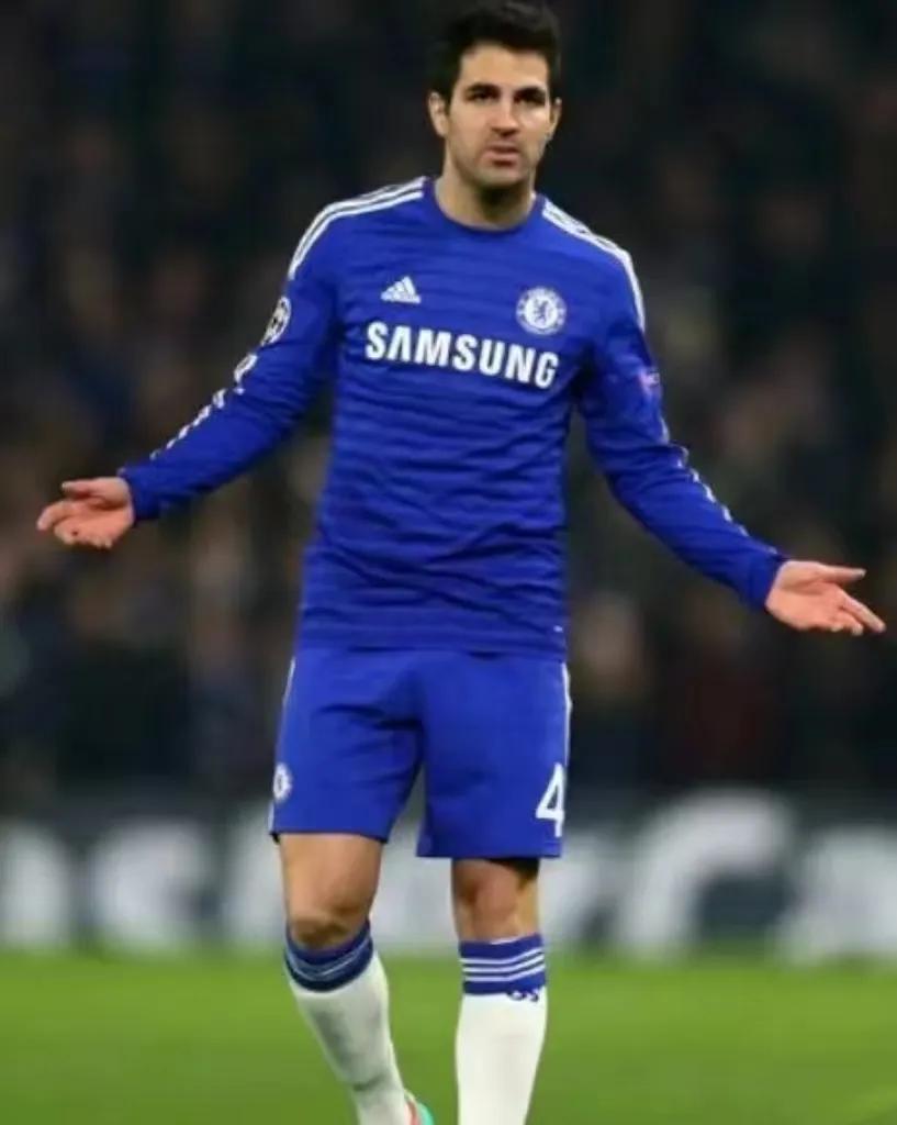 法布雷加斯足球生涯,塞斯克集锦