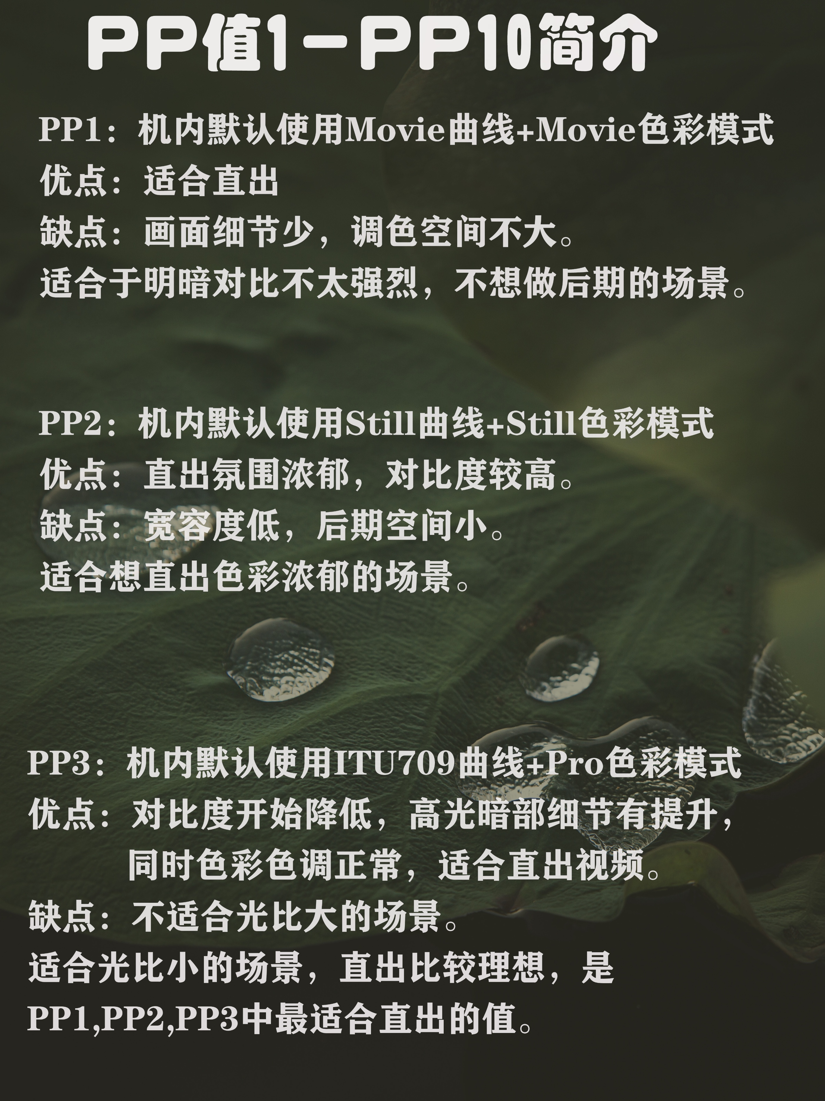 索尼pp值细节等级是什么,索尼pp值1到10的区别