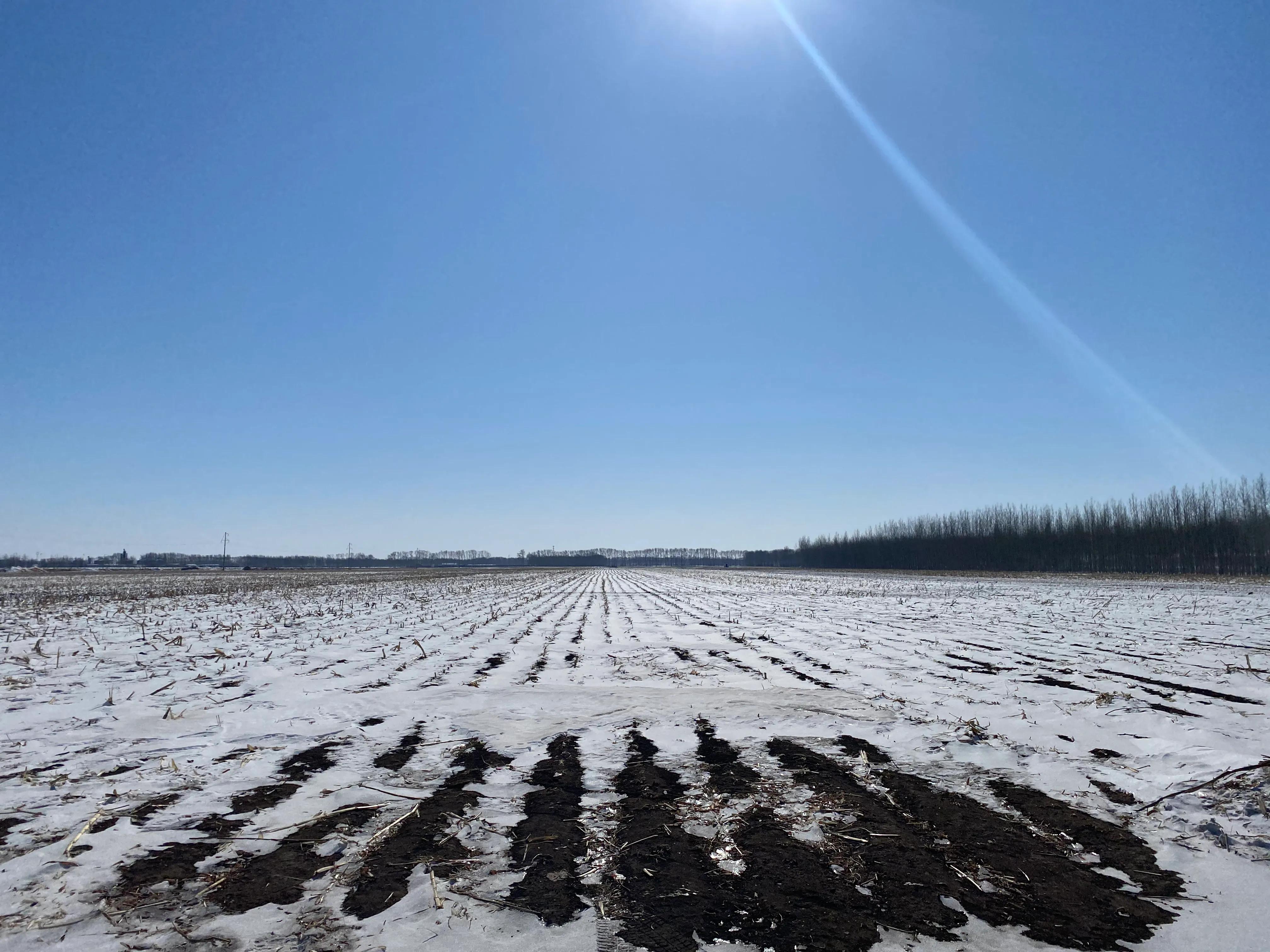 东北小县城的生活状态,东北八线小县城的生活