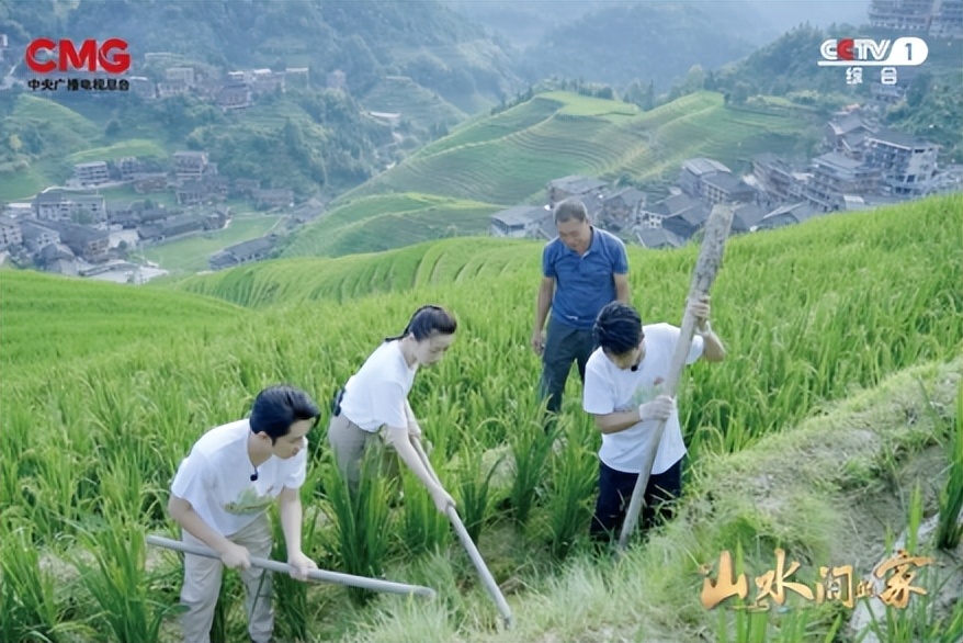 种田就是种风景！《山水间的家》见证乡村十年绿色蝶变