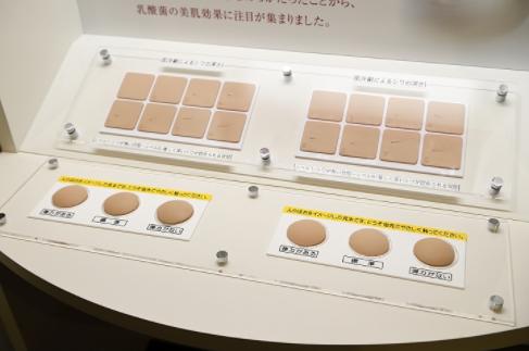 工业旅游体验,工业旅游的体验