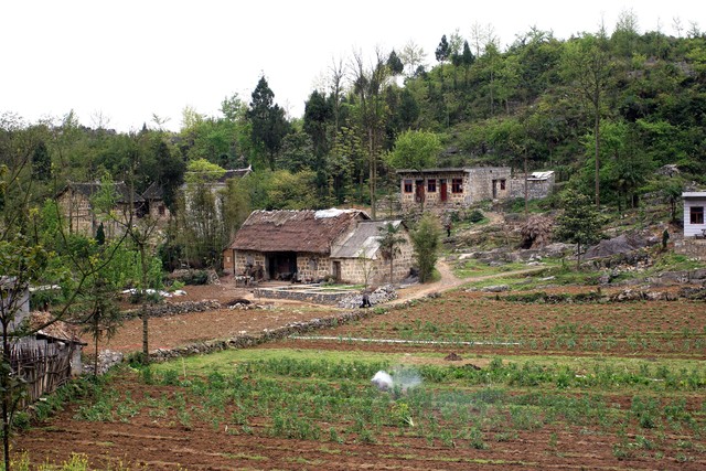 10块钱成本利润大的生意,10元钱一份的生意