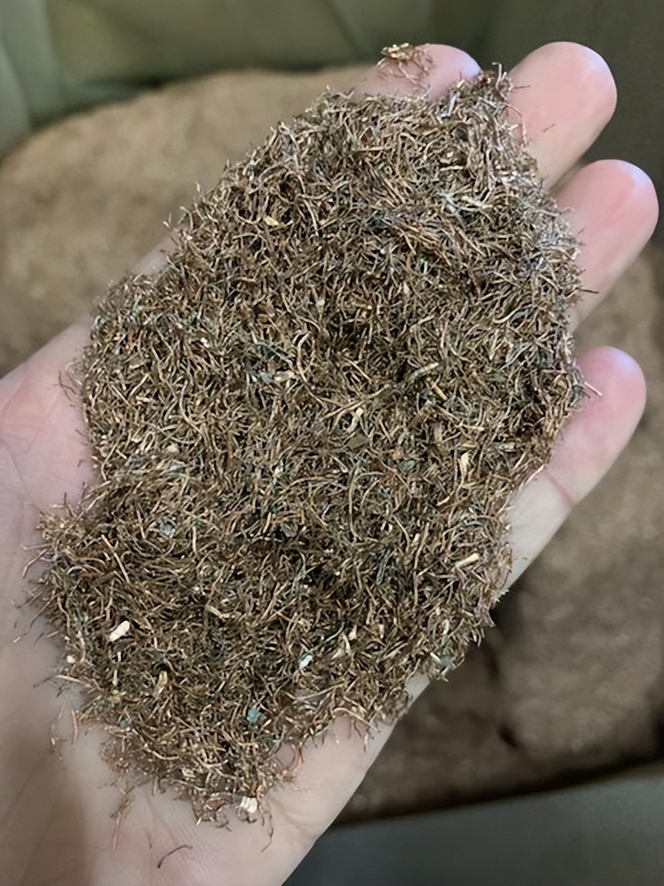 我用AI卖废料，平台上线两年，成交3亿+美金|对话创始人