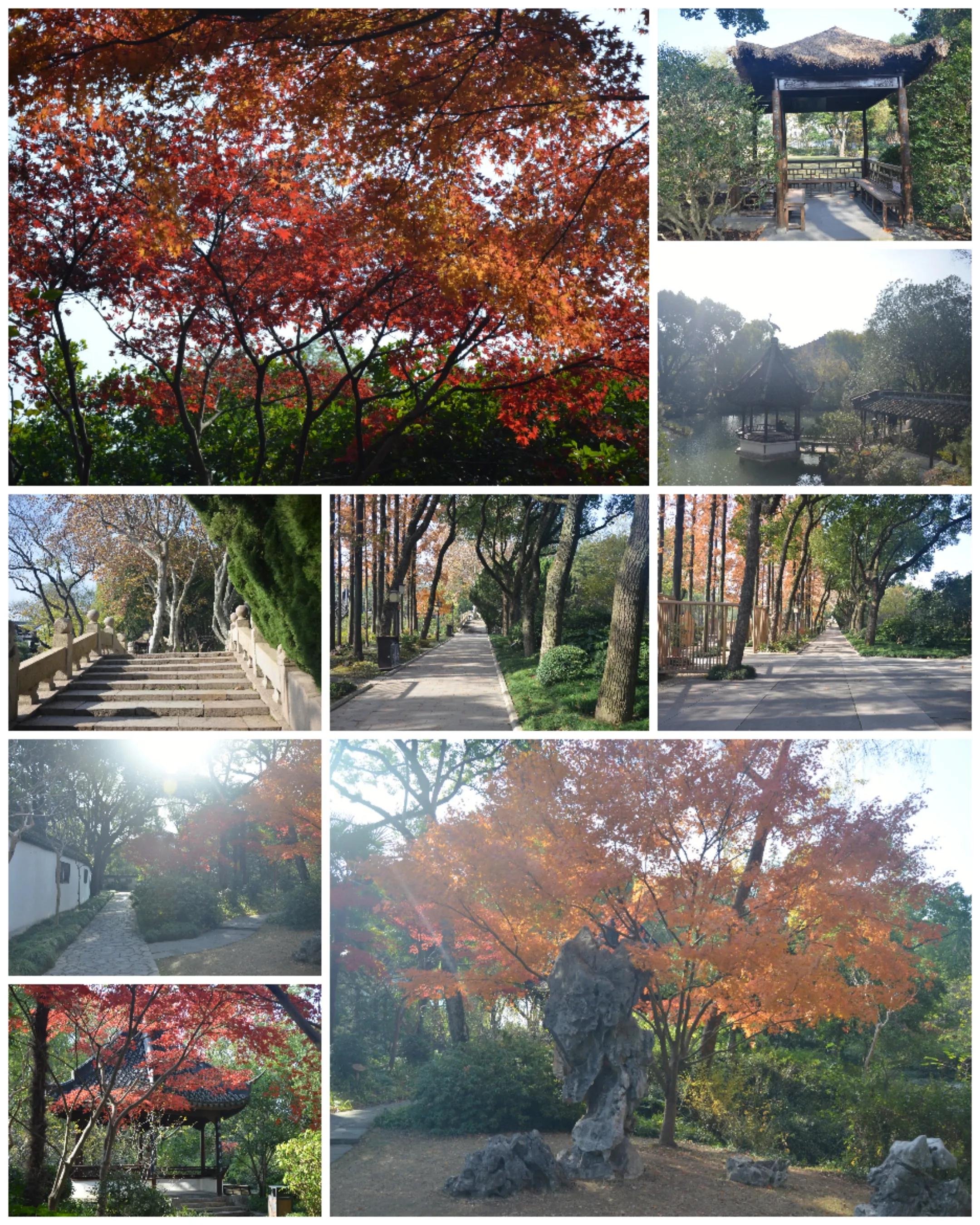 秋游醉白池旅游攻略,醉白池十大景点介绍