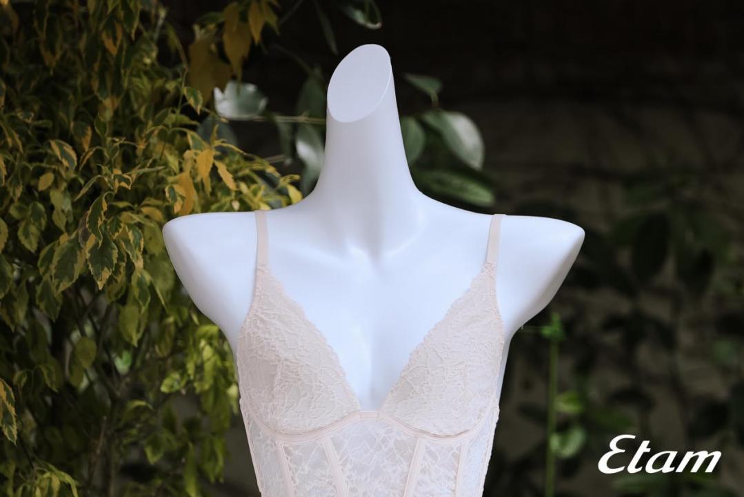 法国品牌内衣新款,etam内衣的价格