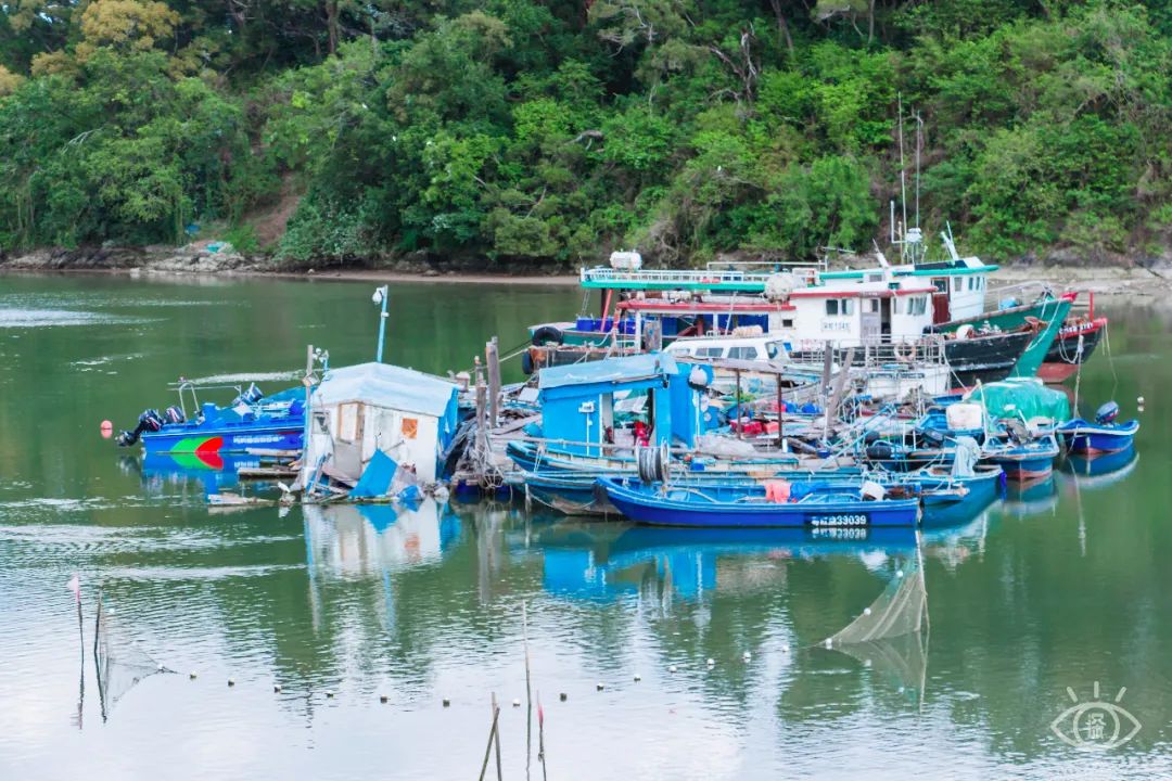 2022深圳10个小众打卡地免费游玩,深圳值得打卡的旅游地