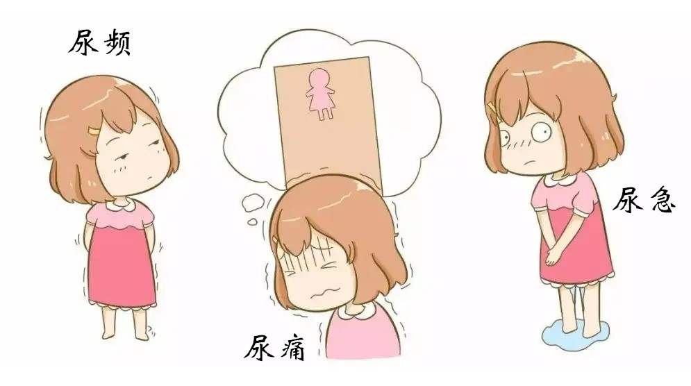 夏日炎炎，炎症常来，女性要提防这些地方发炎