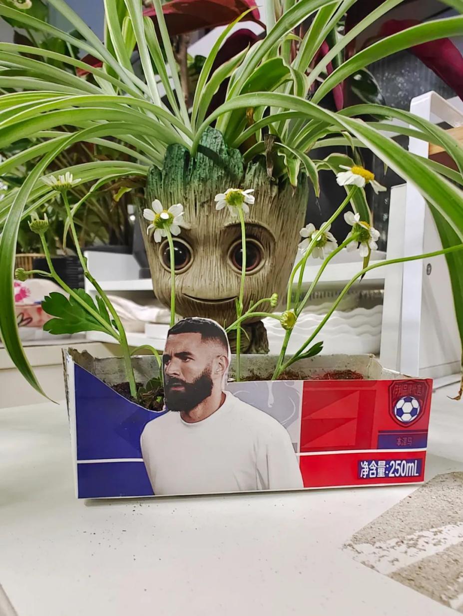 伊利世界杯赞助商,伊利世界杯牌子