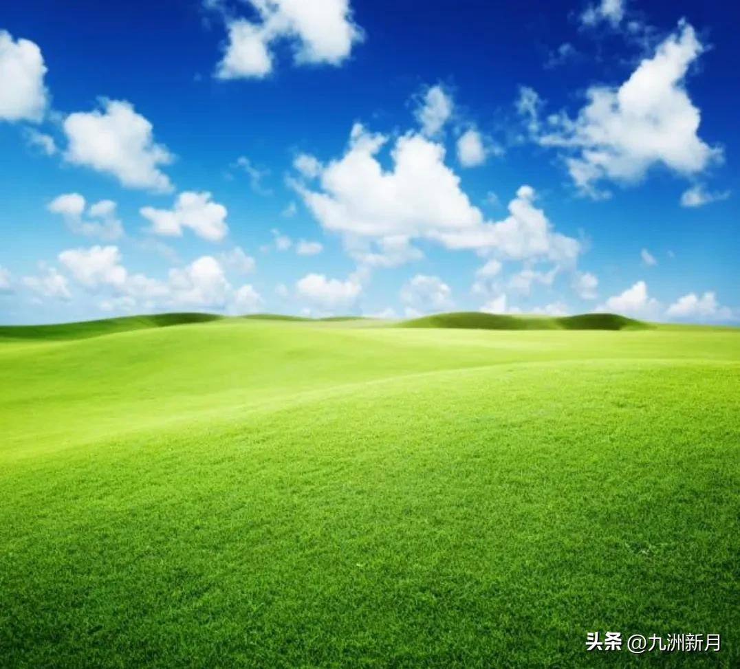 是什么让你爱上阿根廷足球,因为足球认识大哥