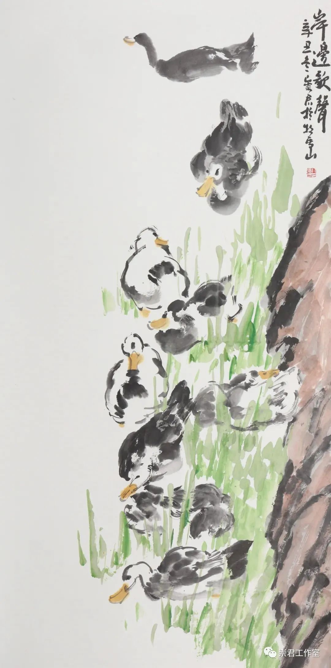 佐罗动漫绘画,佐罗艺术画