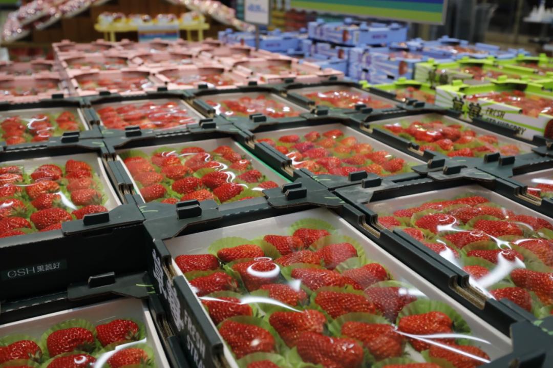 揭密果蔬好（一）：生鲜赛道里的隐形冠军