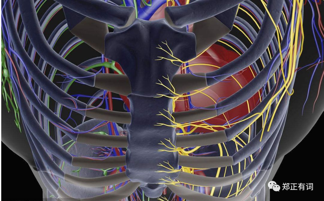 肺部切除手术对寿命的影响,肺部手术对心脏有影响吗