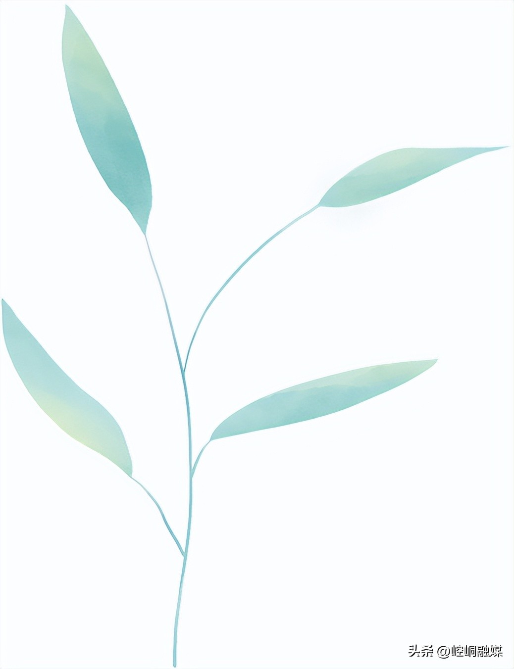 二月份三抓三促心得,三抓三促行动进行时学习笔记