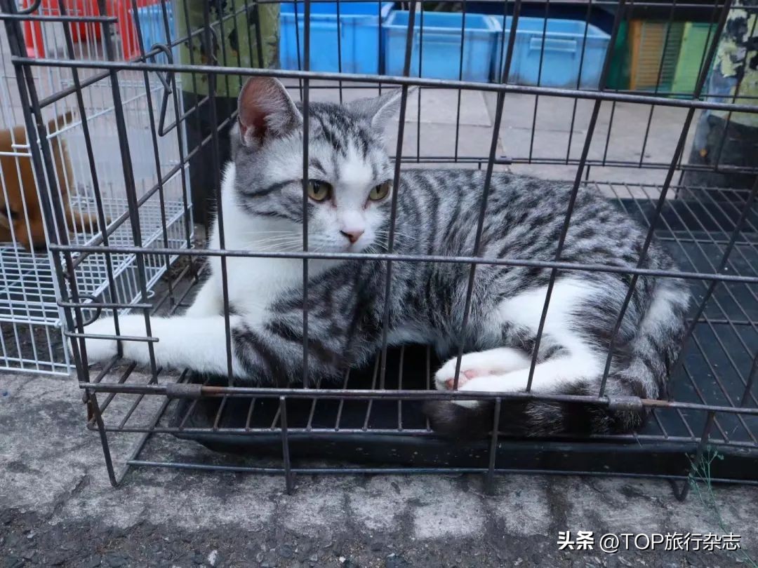 长沙最火的夜市排行,长沙人气最旺的夜市