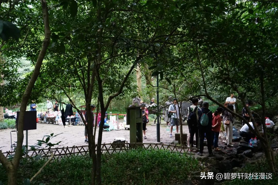 杭州虎跑公园旅游攻略,杭州虎山公园游玩攻略