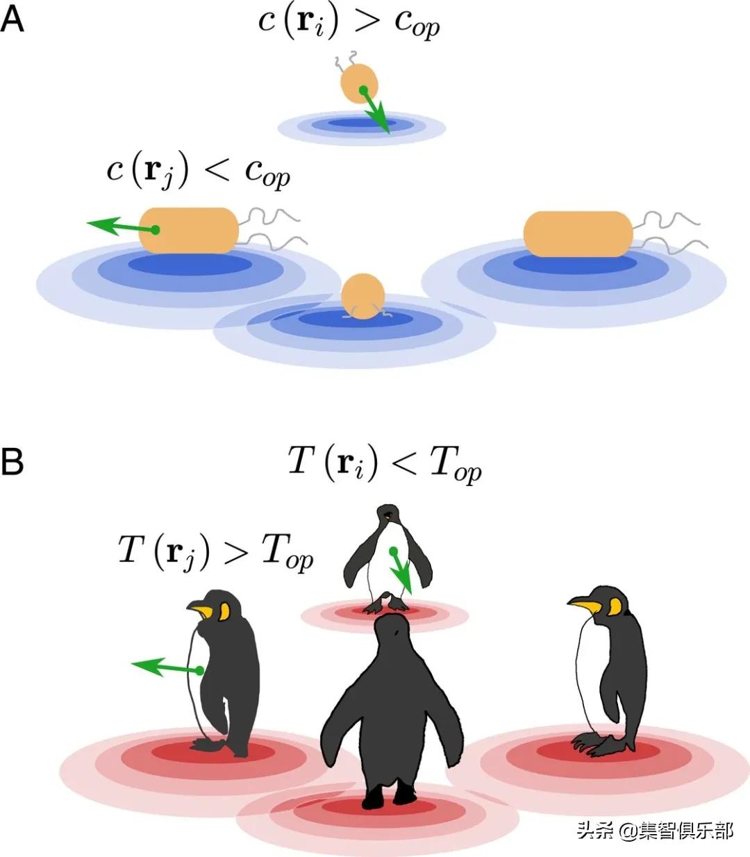 企鹅怎么抱团取暖,企鹅抱团取暖是如何移动的