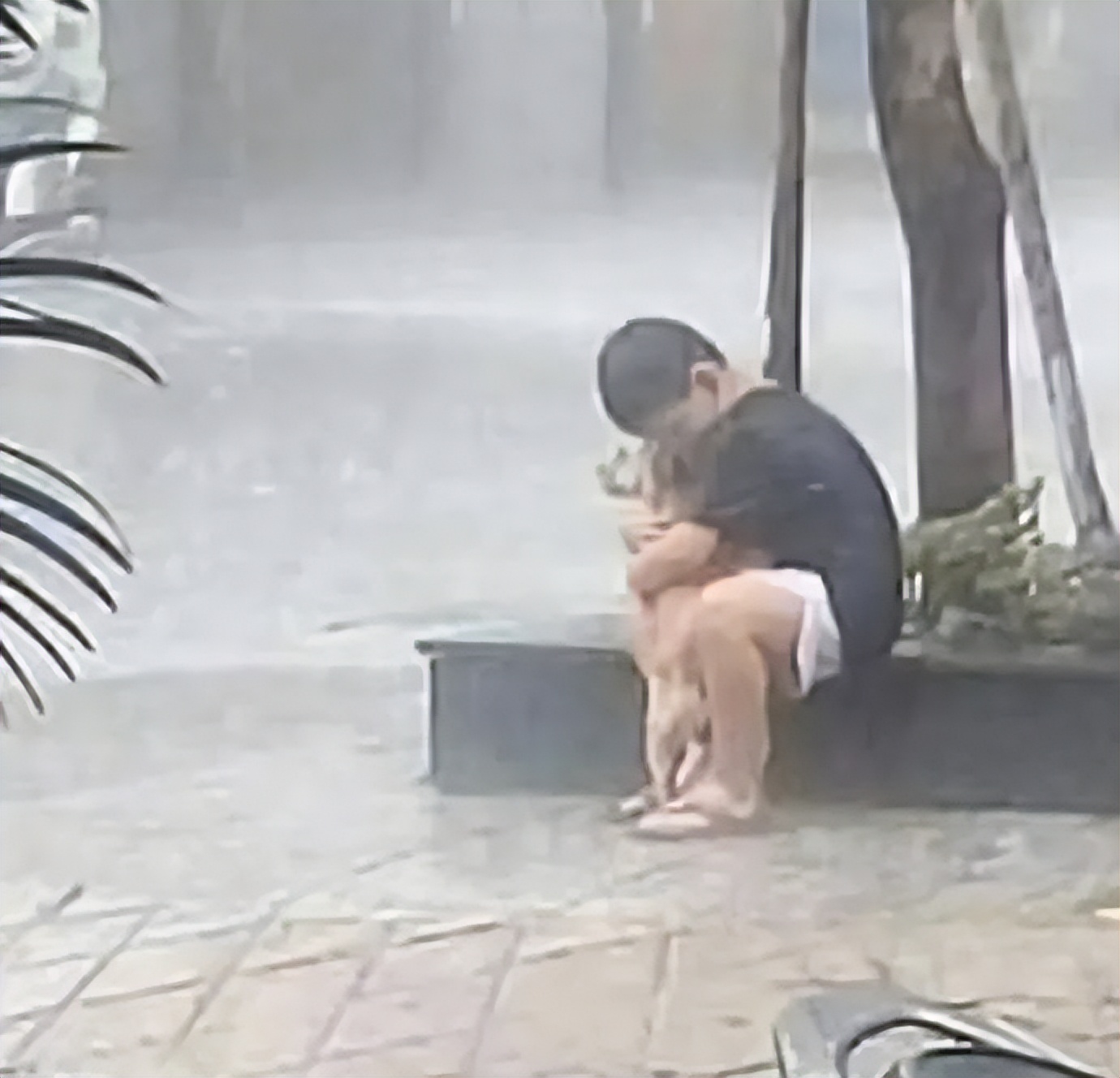 谐音梗搞笑段子全部,谐音梗搞笑的段子