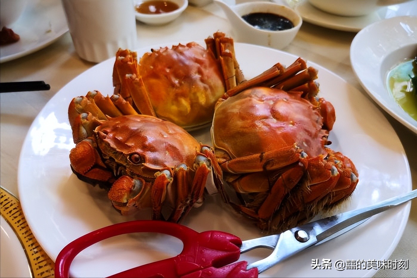 中国百年老字号有多少家,上海百年老店一览表