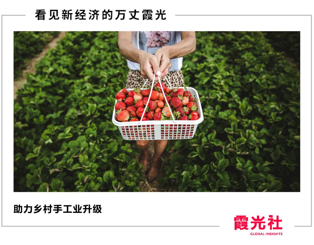 从“隐形冠军”到实力出圈，这些乡村好物值得拥有姓名