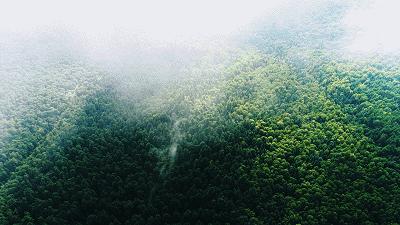 适合夏日避暑的旅游胜地,适合夏天避暑的旅游胜地