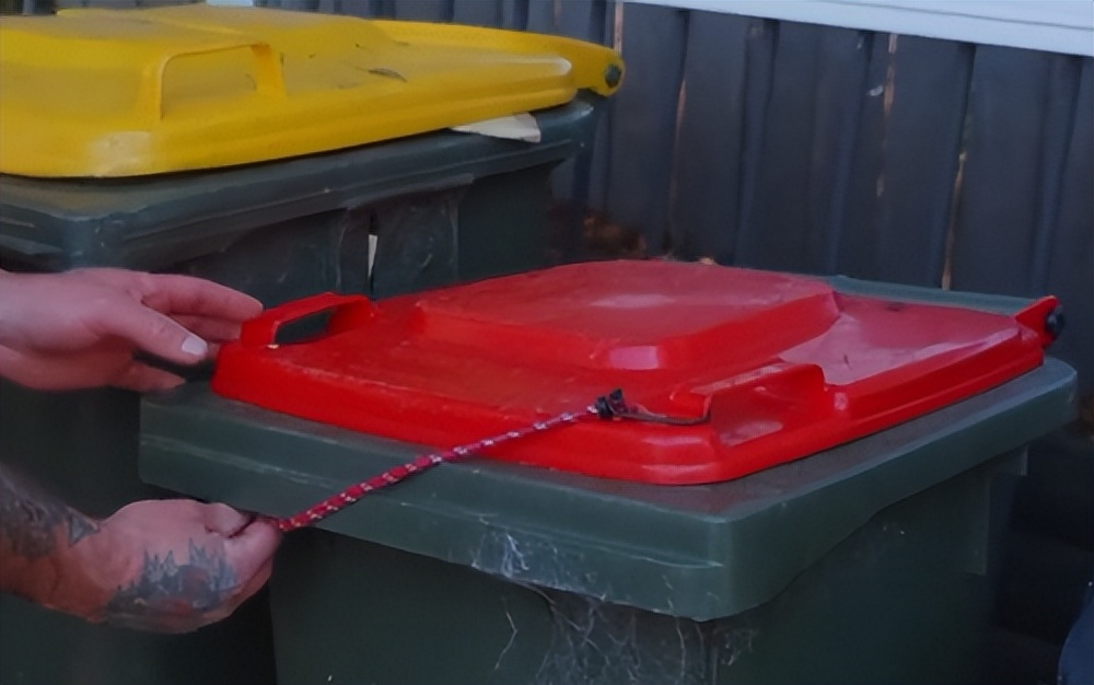 人鸟大战不断升级，想阻止鹦鹉乱翻垃圾桶太难了