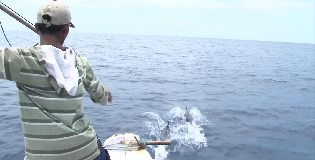 渔民捕获虎鲨,真实渔民钓到的虎鲨