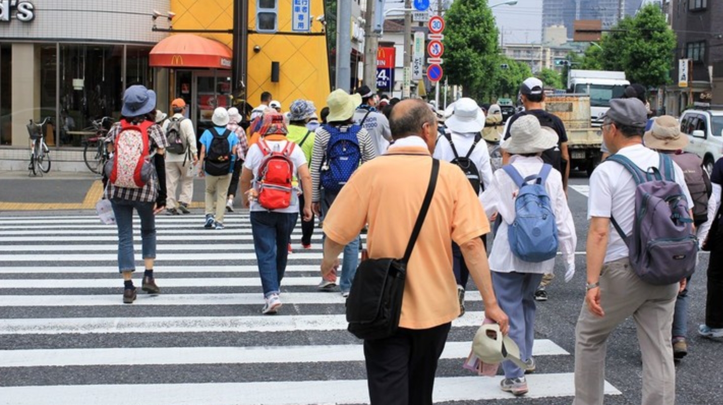 美国白鼠的繁衍,美国白鼠能繁衍多少只