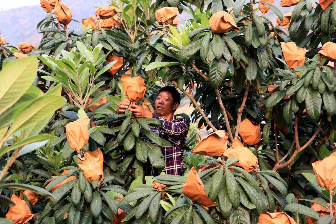产业金钥匙打开致富门,金钥匙开启财富之门