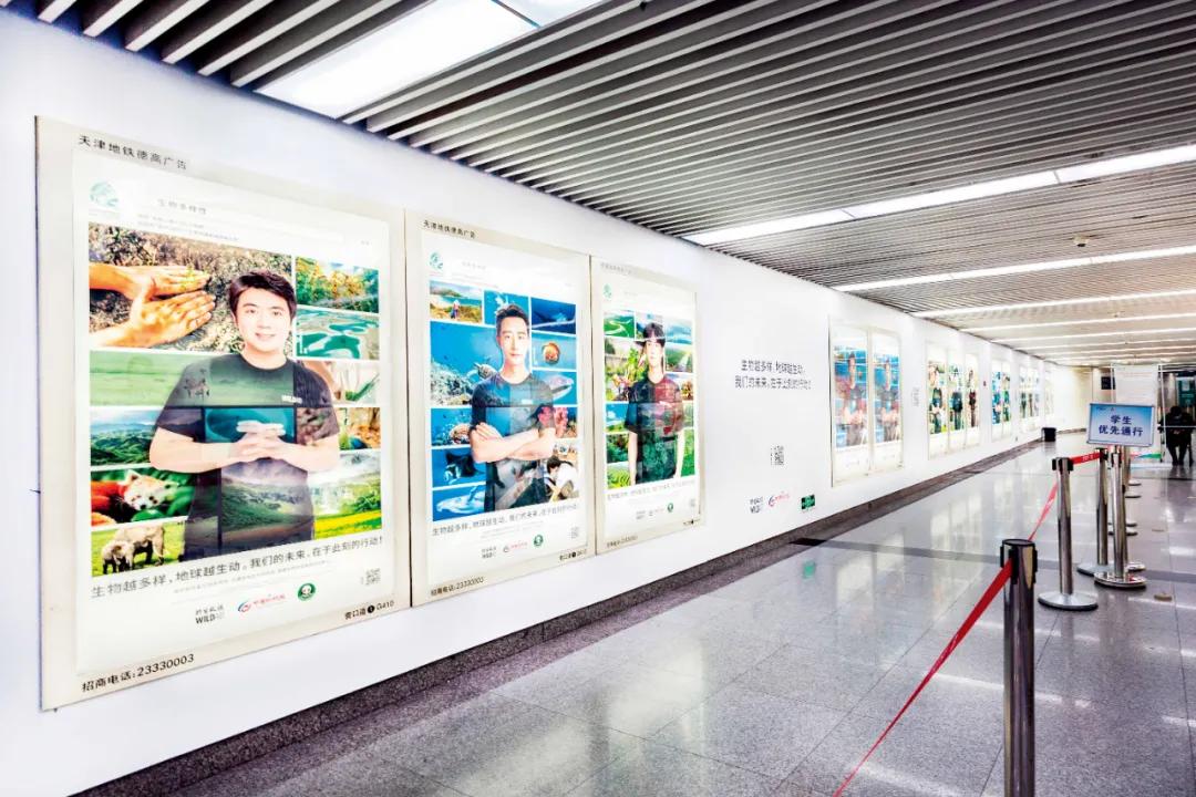 中国慈善机构救助,2020中国慈善家