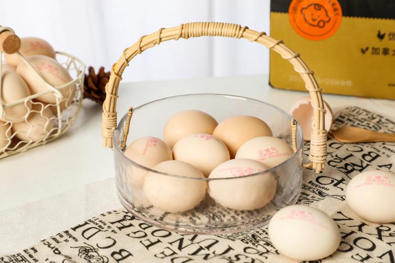 圣迪乐村营养蛋,圣迪乐鲜蛋宇航级品质