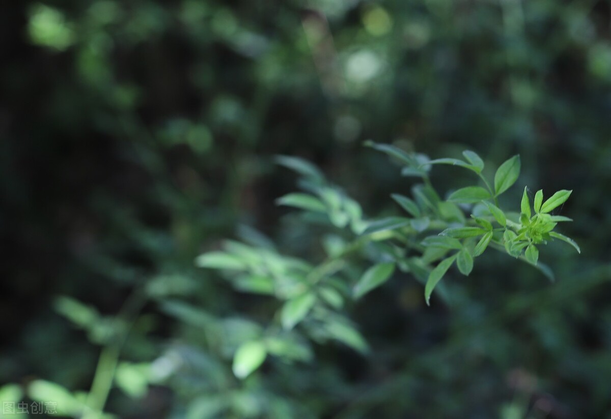 防水透湿面料的研究现状,新型防水透湿面料最新