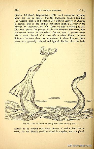 哥斯拉20个泰坦解析,哥斯拉2泰坦巨兽彩蛋